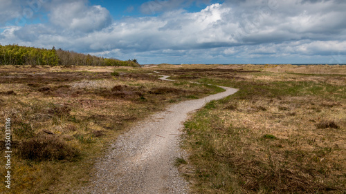 High grass and a path leading down to the beaches. small forest in the background. Gerrild beach