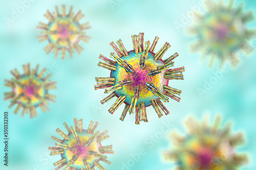 Human Herpes simplex virus photo