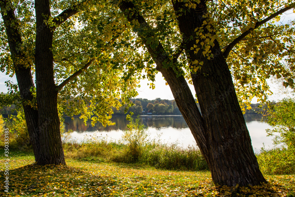 Leipzig Auensee in autumn, Germany Leipzig Auensee in autumn, Germany