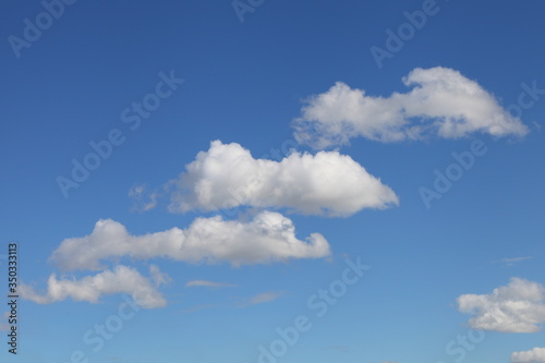Stepped white Cumulus clouds on a clear blue sky  cloudscape texture for background