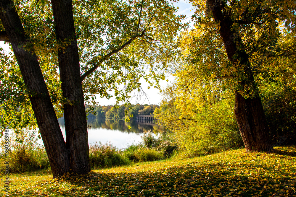 Leipzig Auensee in autumn, Germany Leipzig Auensee in autumn, Germany