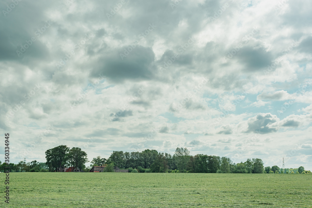 Meadow with trees on horizon under cloudy sky. Meadow with trees on horizon under cloudy sky.