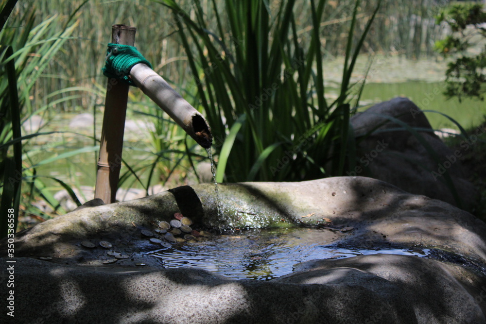 Naklejka premium japan water