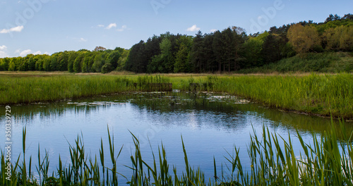 Little body of water in the Kennermerduinen on a sunny summer day