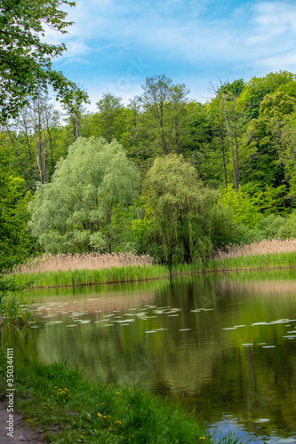 Beautiful lake with green leaves of water lilies.