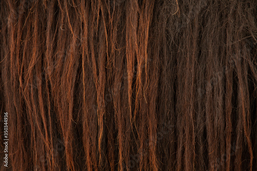 pony hair close up