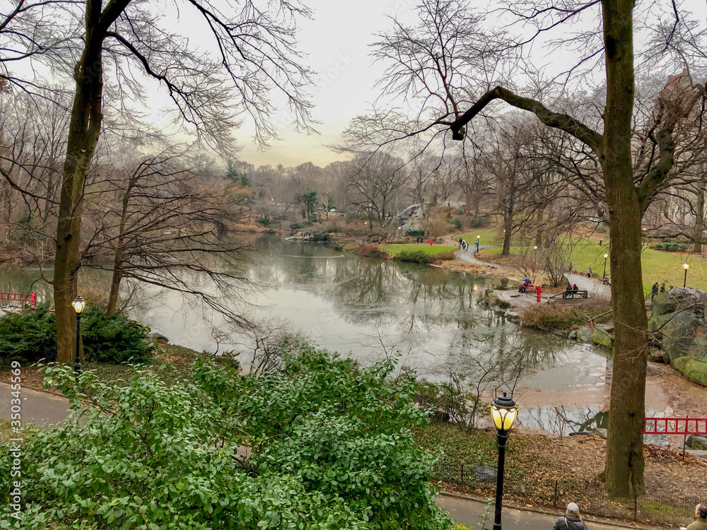 Obraz premium The pond at New York Central Park in a winter rainy day