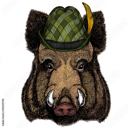 Portrait of wild hog, boar, pig. Austrian bavarian tirol hat. Beer festival. Oktoberfest.