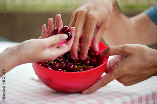 Ripe cherries in a red bowl, two male and one female hand take the cherries out of the pot