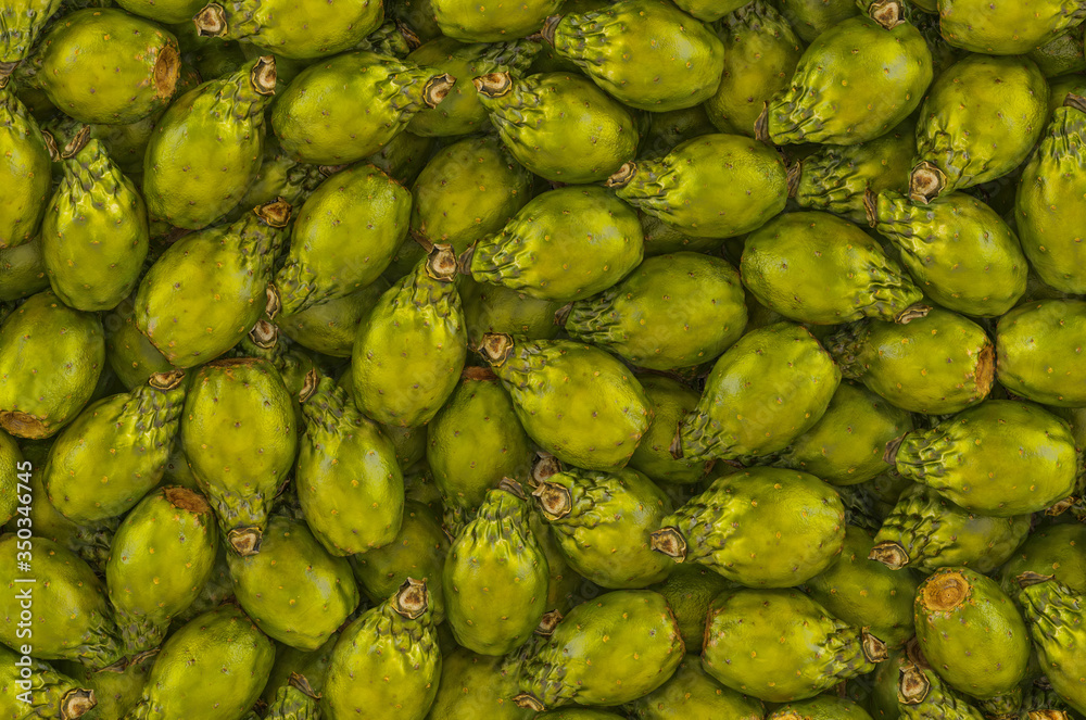Background from cactus pears, top view. 3D rendering Background from cactus pears, top view. 3D rendering