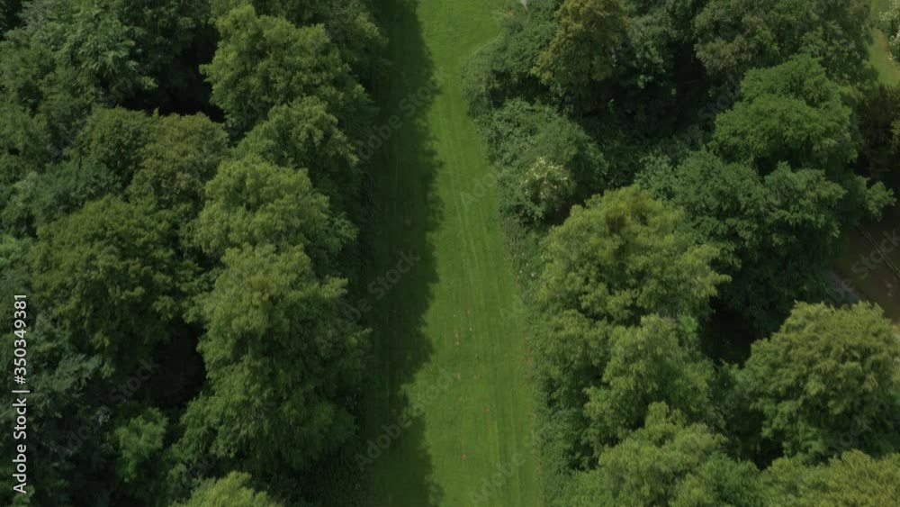Long green lawn lined by large trees reveals large stately home Long green lawn lined by large trees reveals large stately home
