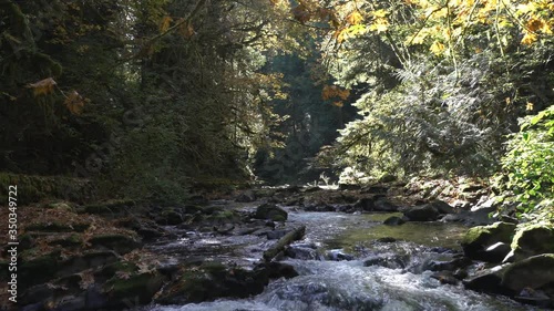 4K Footage of Cedar Creek in Washington statev photo