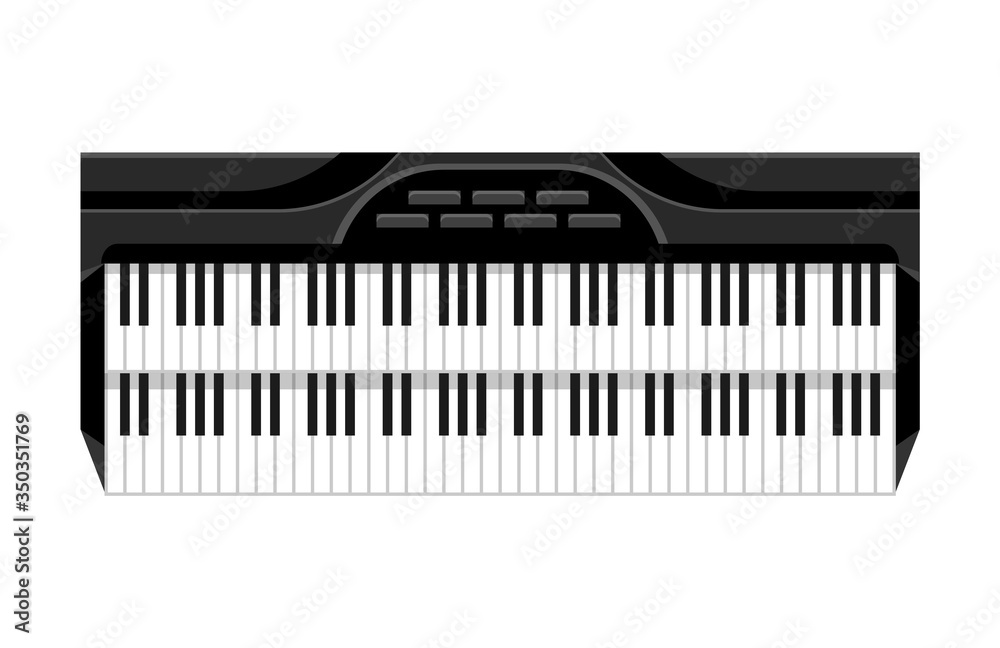Musical Keyboard instrument. Isolated image of a keyboard. Vector illustration - musician equipment. Tool for music lover