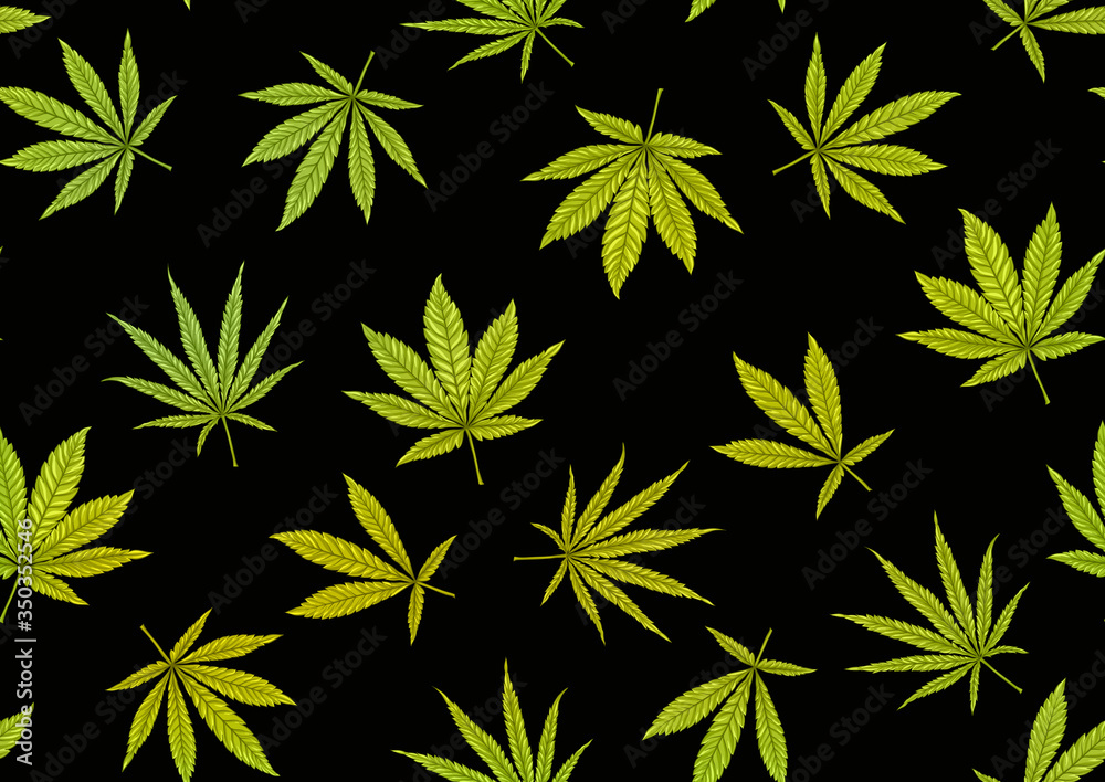 Cannabis leaves seamless pattern, background. Vector illustration in green colors Isolated on black background. Cannabis leaves seamless pattern, background. Vector illustration in green colors Isolated on black background.