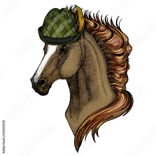 Horse, steed, courser. Portrait of wild animal. Austrian bavarian tirol hat. Beer festival. Oktoberfest.