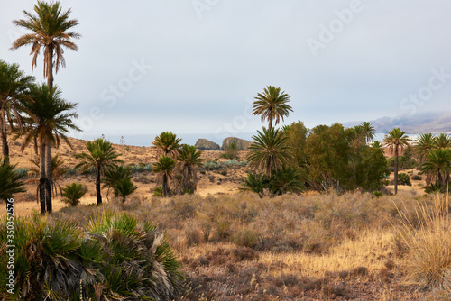 The desert of Almeria