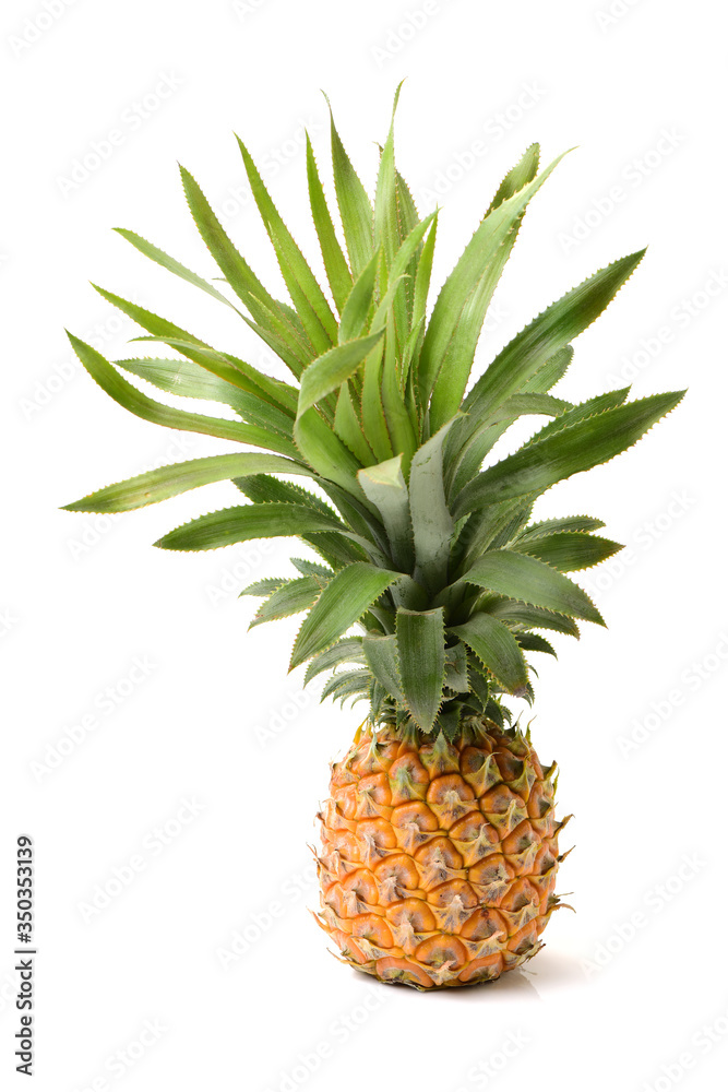 Pineapple on white background
