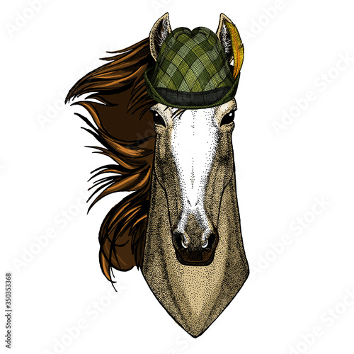 Horse, steed, courser. Portrait of wild animal. Austrian bavarian tirol hat. Beer festival. Oktoberfest.