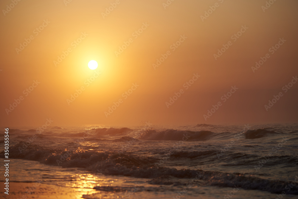 Early morning, beach, sea, fog, waves, sunrise, lower angle, spray