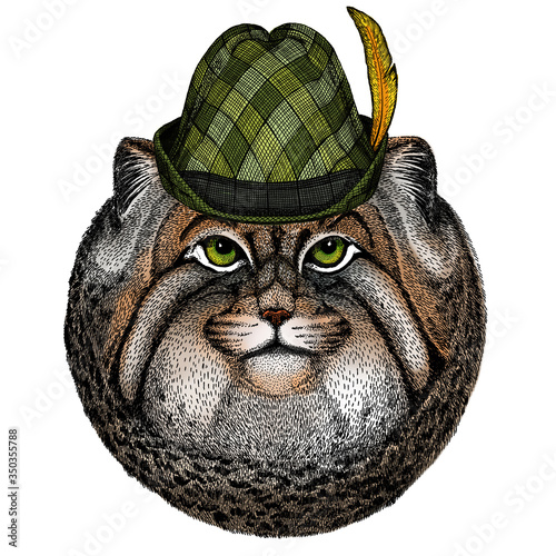 Pallas cat head. Manul head. Austrian bavarian tirol hat. Beer festival. Oktoberfest.