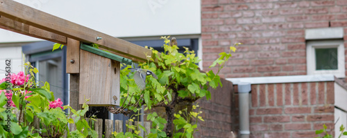 Banner with a great tit (Parus major) flying form his nestbox is a garden.