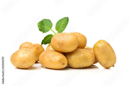 New potato isolated on white background