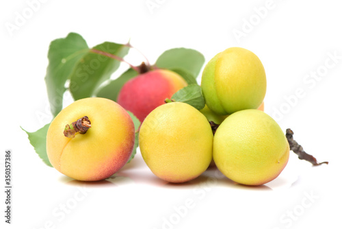ripe apricot with leaves isolated on white background