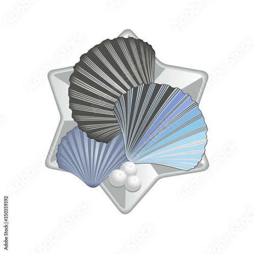 Conchas de mar