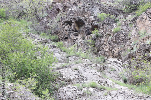 Nature is a real sculptor. She created a face on the rock. The face looks like an alien. There are bushes, trees and flowers nearby. Wonder of nature.