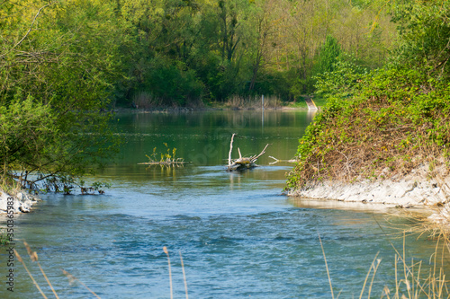 Altrhein  Rhein Aue Flu   Landschaft bei Iffezheim