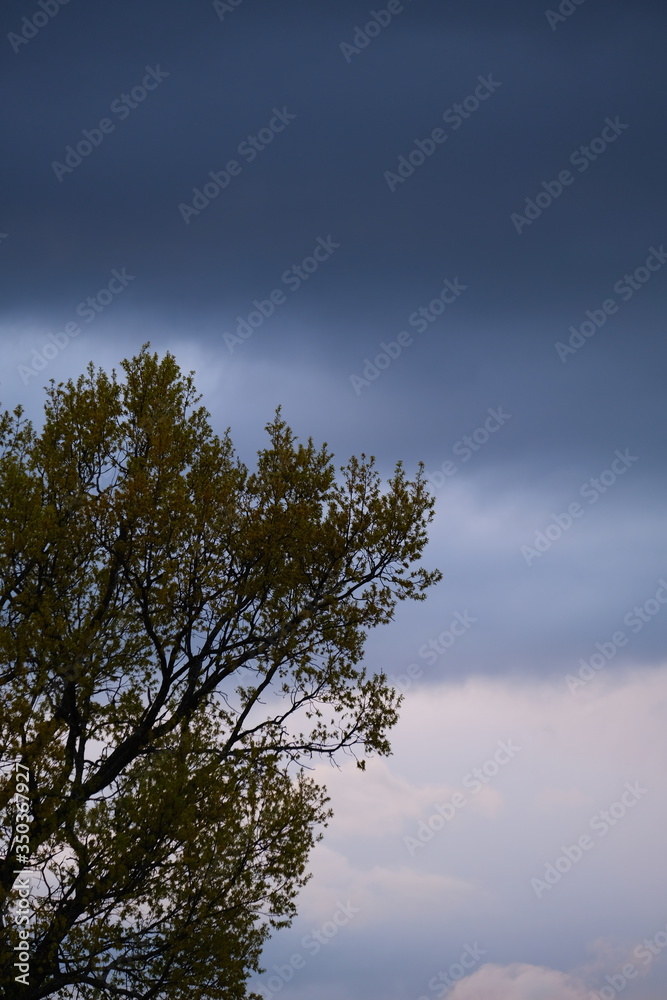 Obraz premium Sky air clouds Blue rain