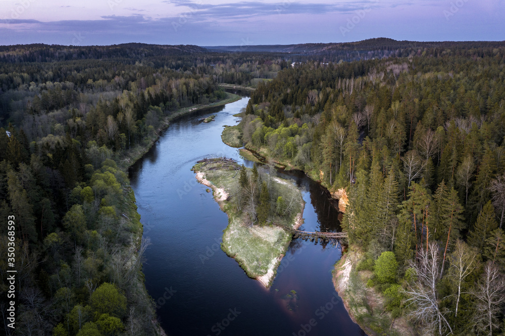 River with an island in the middle. Fallen logs crossing the river at dusky weather. 