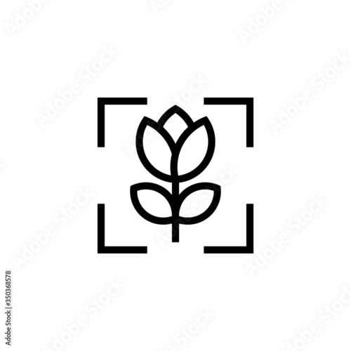 Macro vector icon in lineout, linear style isolated on white background