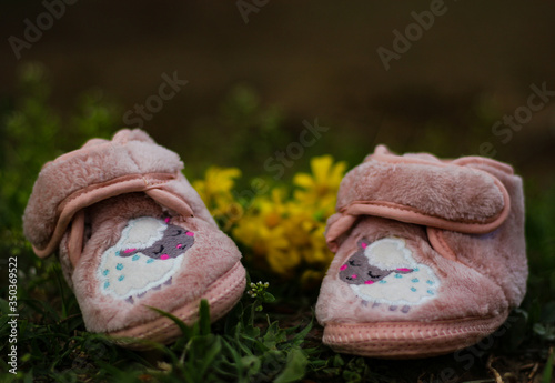 baby shoes on the grass