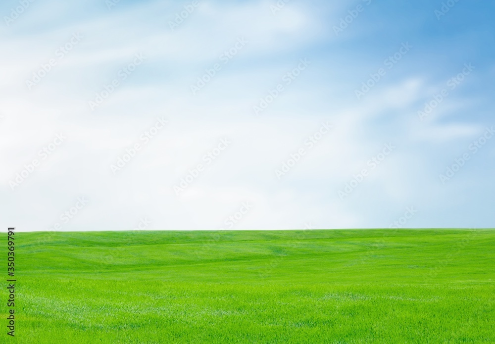 Grass. Grass.