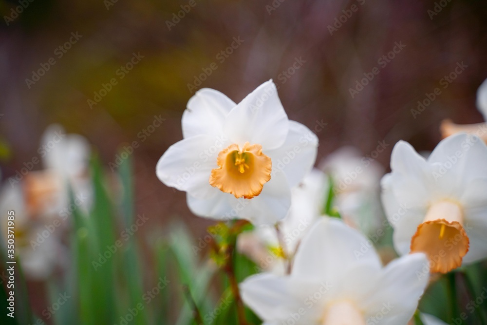 Nature photograpy Nature photograpy