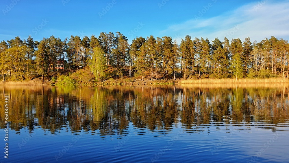 landscape of the beautiful trees and reflection on the lake