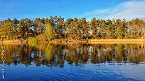 landscape of the beautiful trees and reflection on the lake