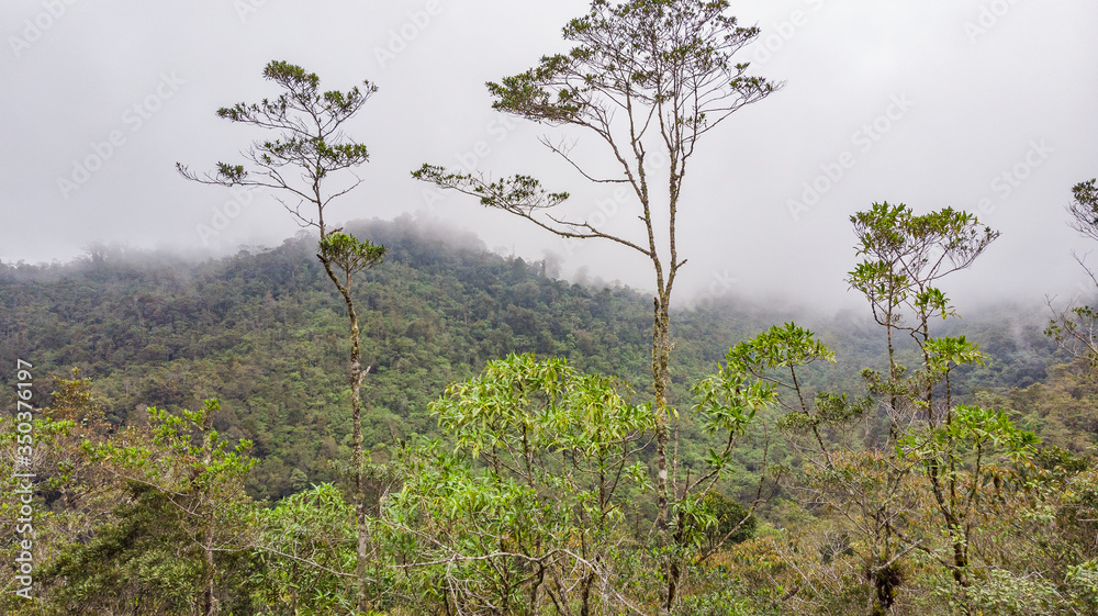 Obraz premium Foggy forest in with waterfall aerial view