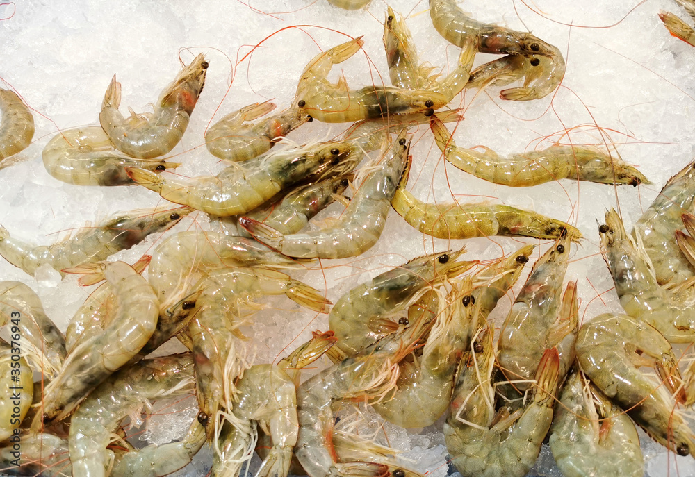fresh prawns on ice in a supermarket window
fresh prawns on ice in a supermarket window