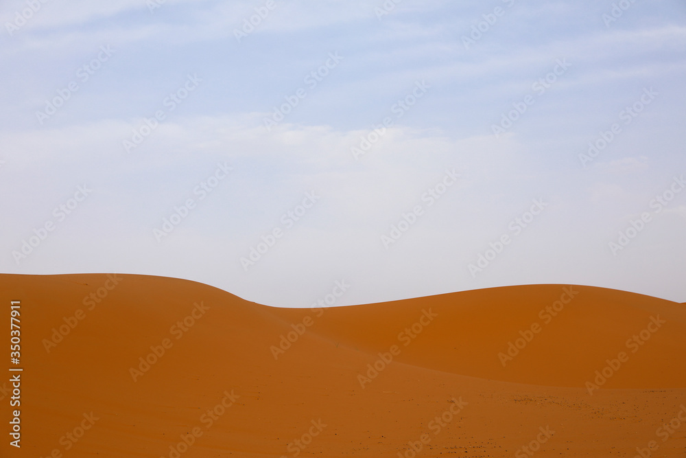 Sahara desert. Merzouga Morocco.