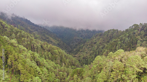 Foggy forest in with waterfall aerial view