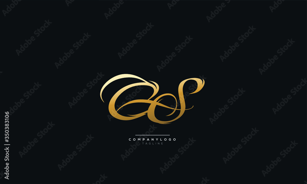 CS Letter Logo Alphabet Design Icon Vector Symbol