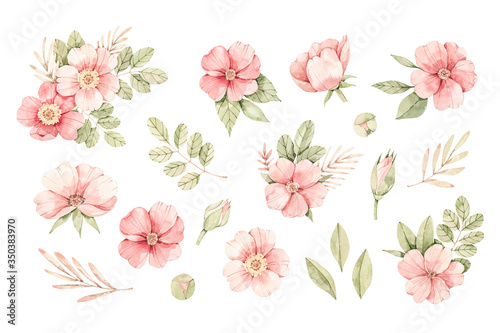 Watercolor botanical illustration. Pink dog-rose blossom. Vector bouquet with gentle rose, bud, branches and green leaves. Perfect for wedding invitations, cards, frames, posters, packing.