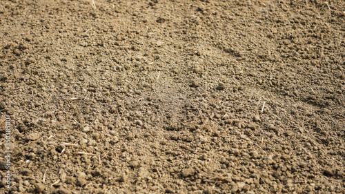 Fotografie, Obraz Soil - Texture (Sand, Silt, Clay Composition)