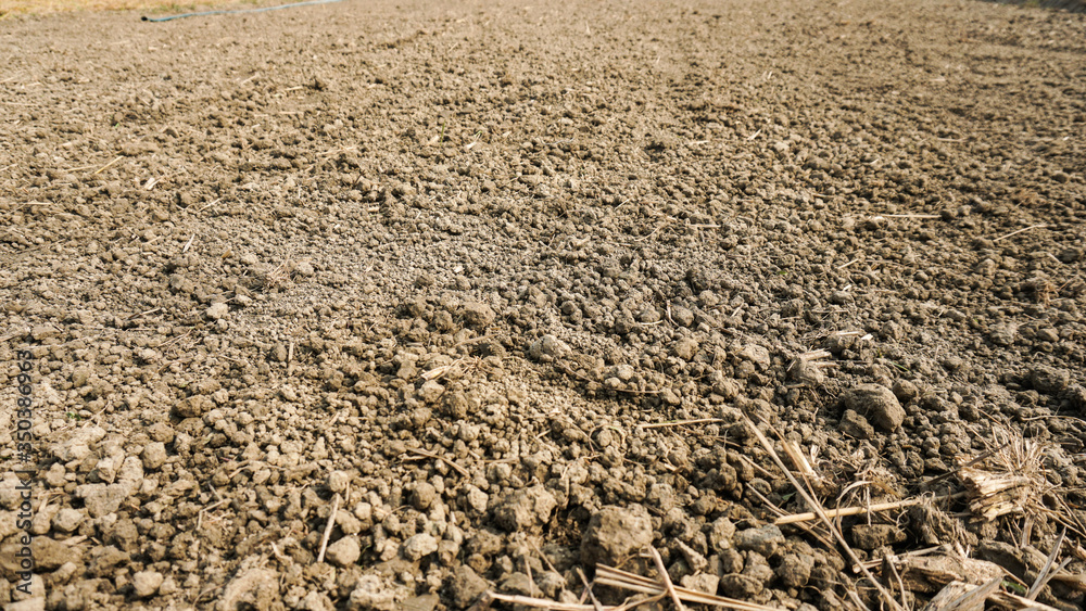 Soil - Texture (Sand, Silt, Clay Composition). Fertile loam soil suitable for planting, soil texture background. Soil - Texture (Sand, Silt, Clay Composition). Fertile loam soil suitable for planting, soil texture background.