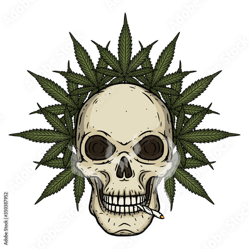 Skull. Skull with marijuana leaves. Rastaman skull with cannabis leafs and spliff.