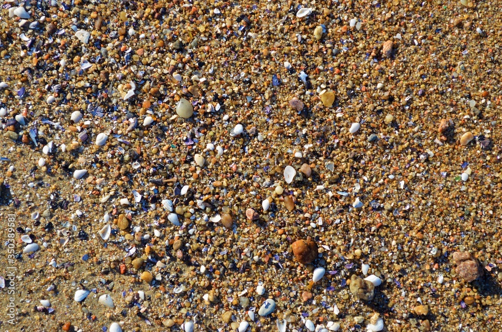 small stones on the beach with a sunshine day small stones on the beach with a sunshine day