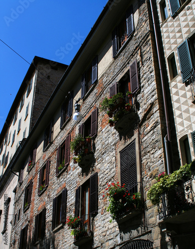 European windows decorated with plants and flowers