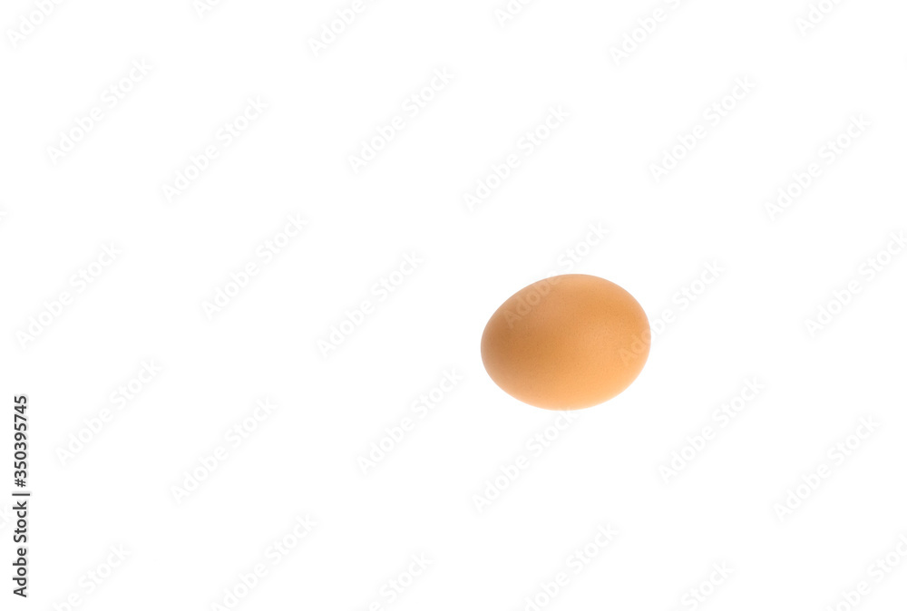 egg isolated in white background egg isolated in white background